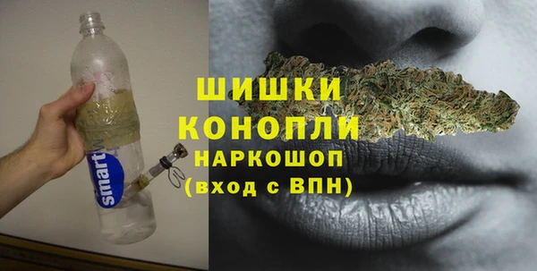 бутират Белокуриха