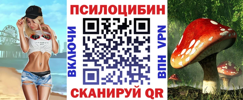 наркота  Сегежа  Псилоцибиновые грибы прущие грибы 