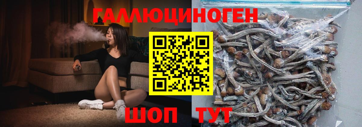 Галлюциногенные грибы Cubensis Сегежа